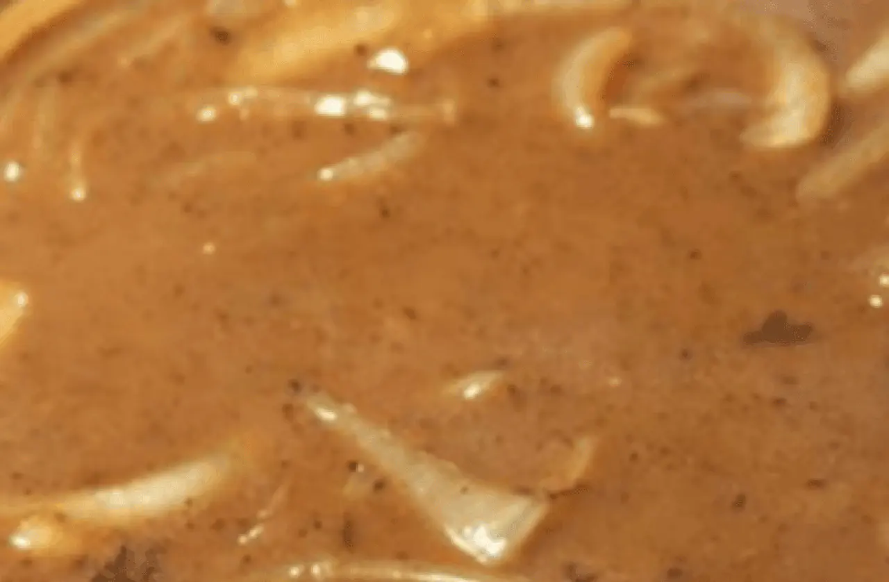 Caramelized Onion Sauce