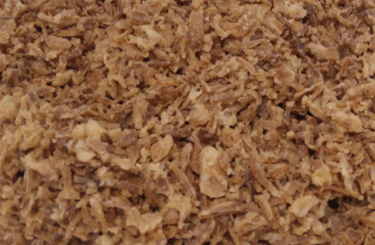 Roasted Onion And Bacon